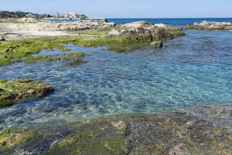 Sea Sauna Shack 個室サウナ 水風呂あり 3