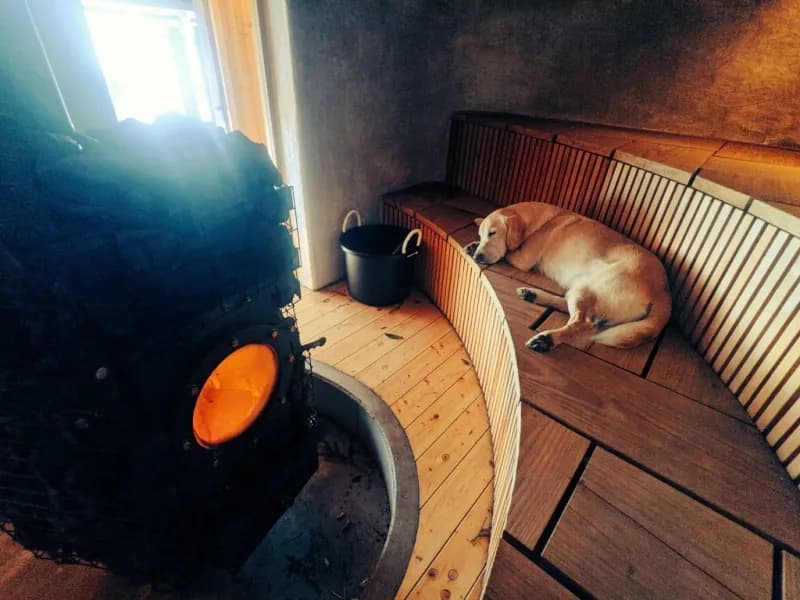 コアミガメ 個室サウナ セルフロウリュ 3