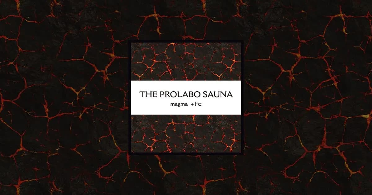 ザ・プロラボサウナ