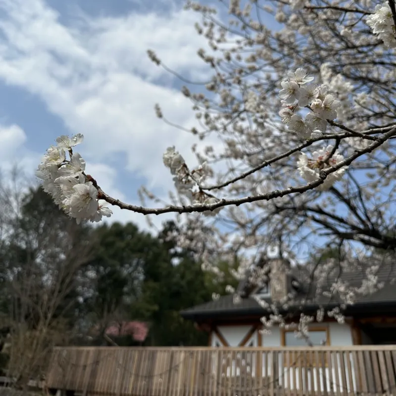 Akagi LogINN 個室サウナ 水風呂あり 4