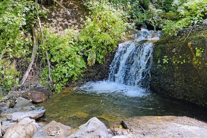 滝つぼサウナ 個室サウナ 水風呂あり 3