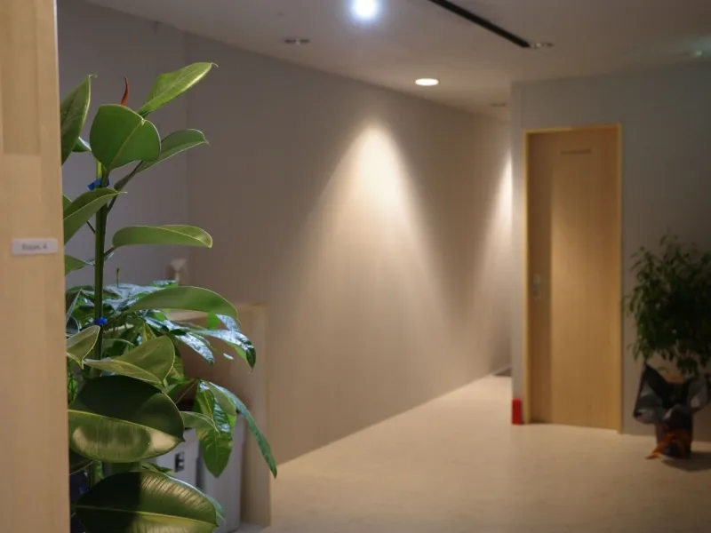  ウツノミヤサウナクラブ 本店