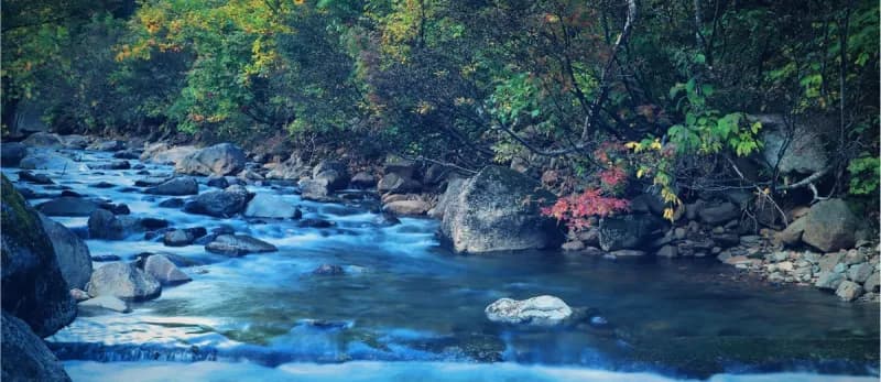 さる倉サウナ 個室サウナ