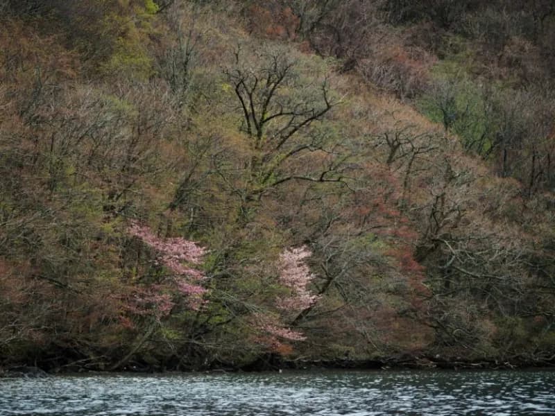 青森の個室サウナ完全ガイド【全6施設】