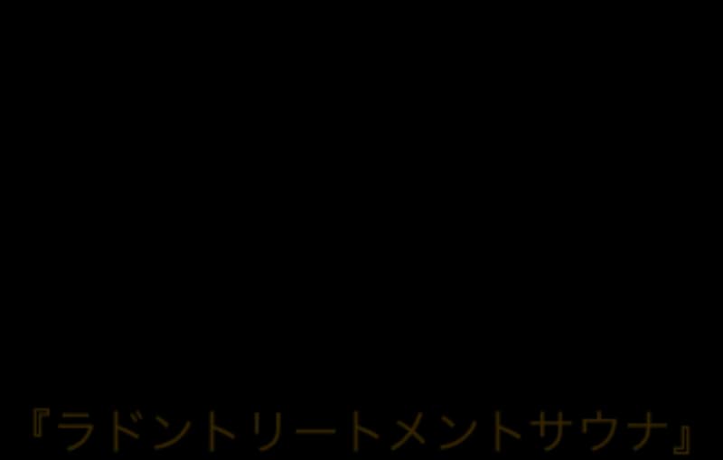 Regions Hostel 個室サウナ 水風呂あり 3