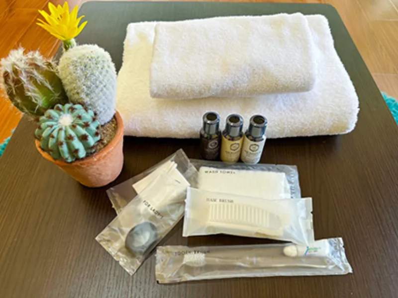 BaCo Resort 長野 サウナ 個室サウナ 水風呂あり 4