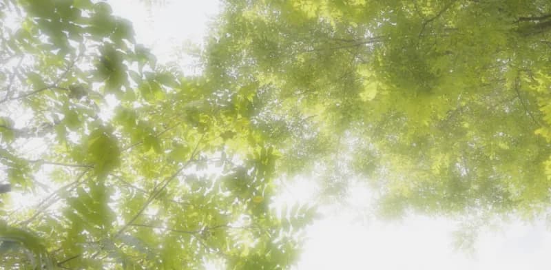 シマシマサウナ 個室サウナ 水風呂あり 4