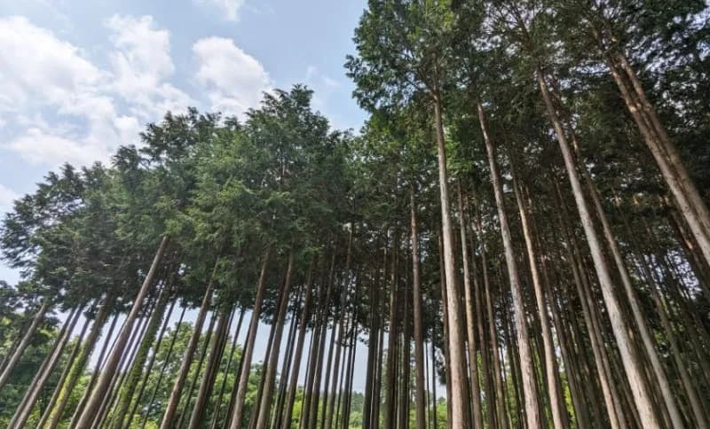 8Seas Sauna HIRA 個室サウナ 水風呂あり 3