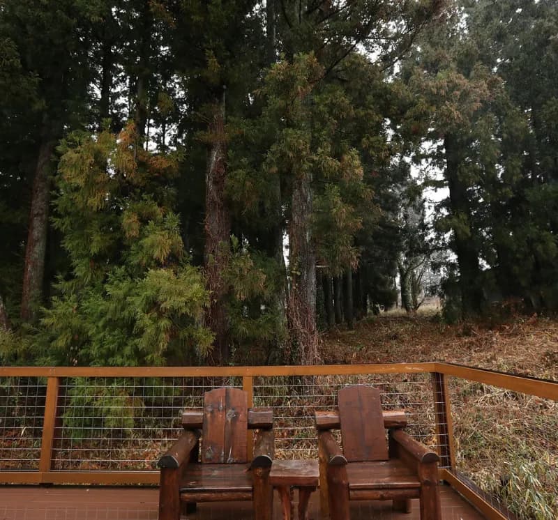 Wood High SAUNA 個室サウナ 水風呂あり