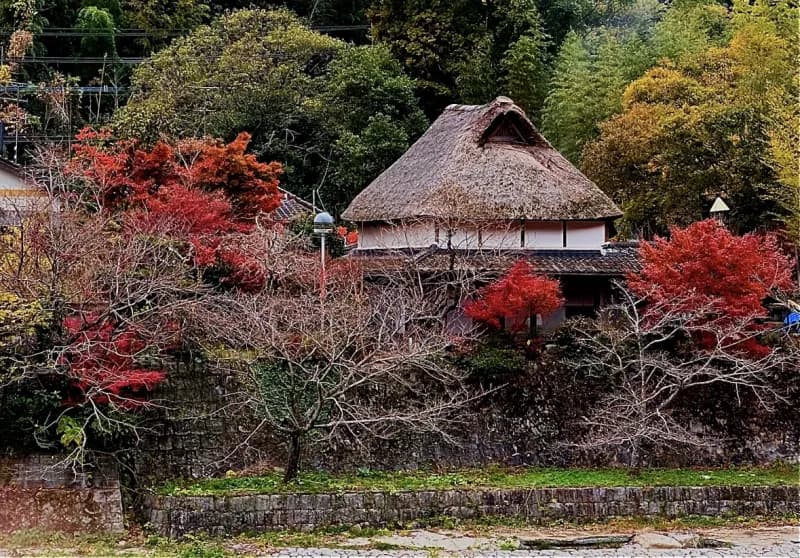 洋々庵 個室サウナ 水風呂あり 2