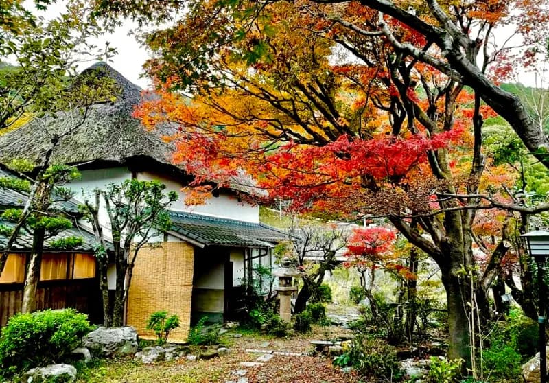 洋々庵 個室サウナ 水風呂あり 4