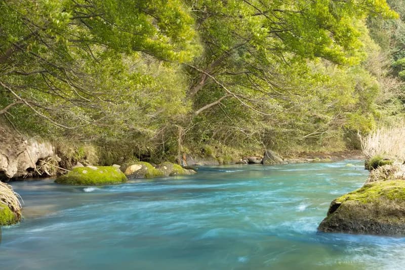 sumu SAUNA 個室サウナ 水風呂あり 3