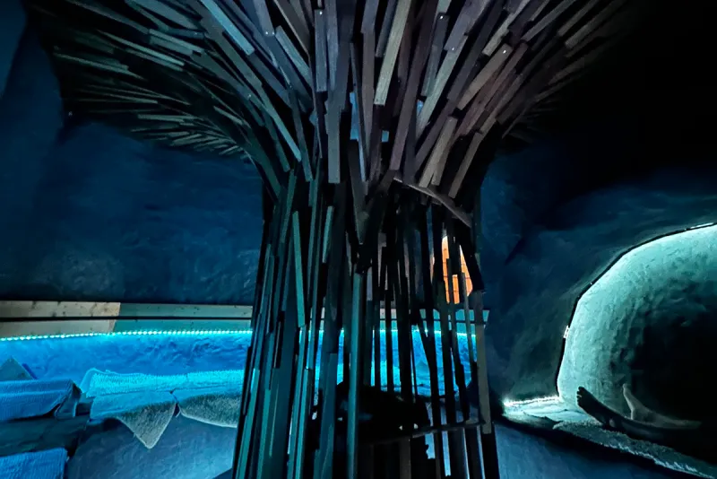 サウナ発達 個室サウナ