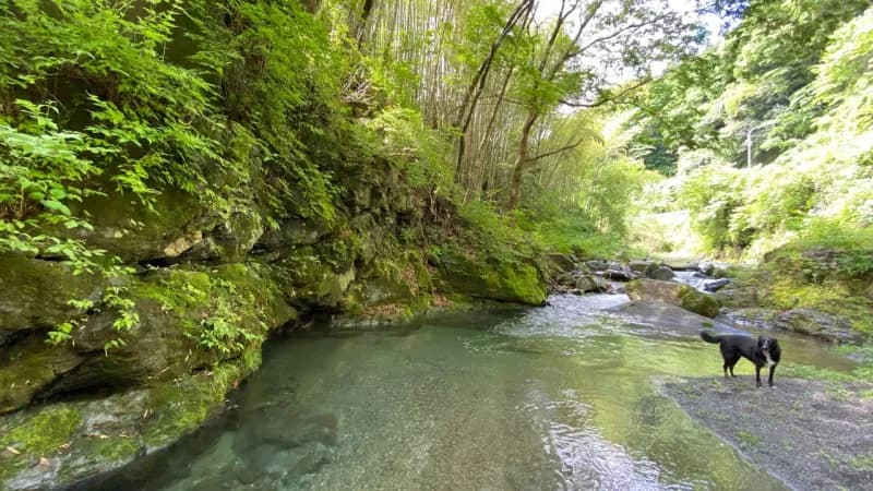 kanrano sauna 個室サウナ セルフロウリュ 3