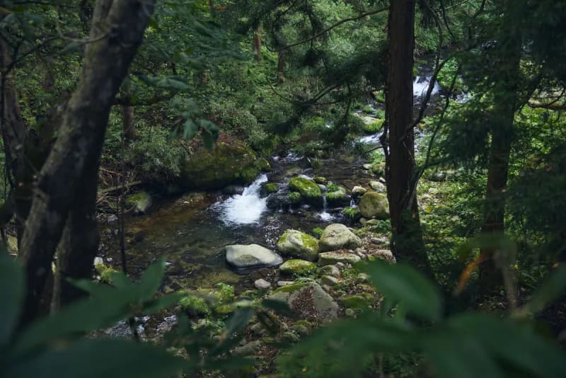 発酵サウナ 個室サウナ 水風呂あり 4