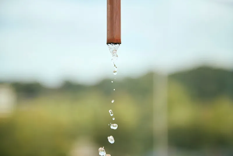 香林居 個室サウナ 水風呂あり 4