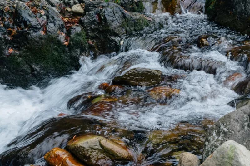 VIEHÄttÄVÄ(ヴィエハッタヴァ) 個室サウナ 水風呂あり 2