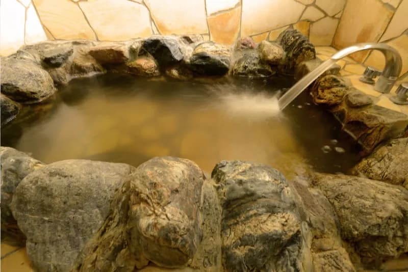 南道後温泉ホテル ていれぎ館 個室サウナ 水風呂あり 3