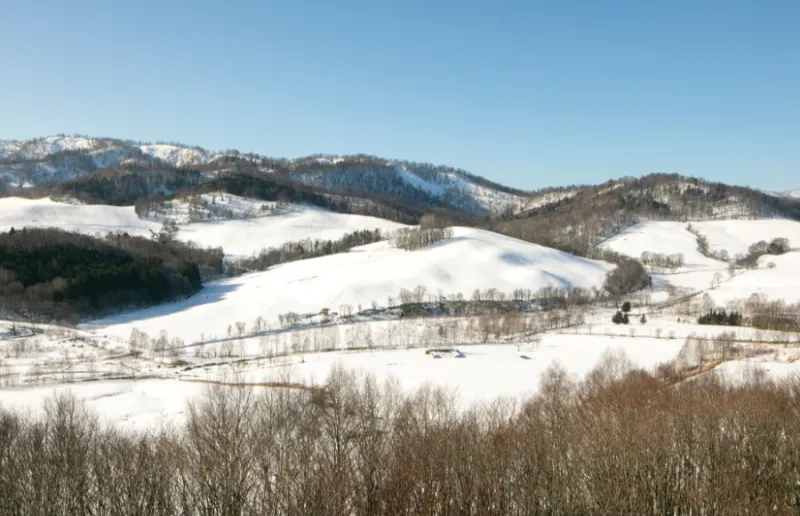 江丹別マージナルサウナ 旭川の森の中の水風呂10℃雪景色個室サウナ
