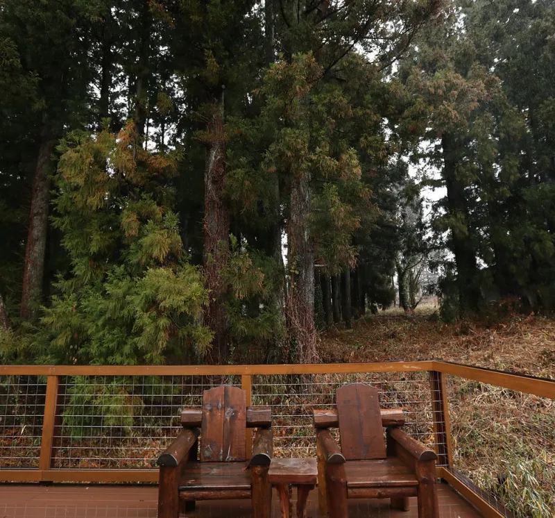 Wood High SAUNA 個室サウナ