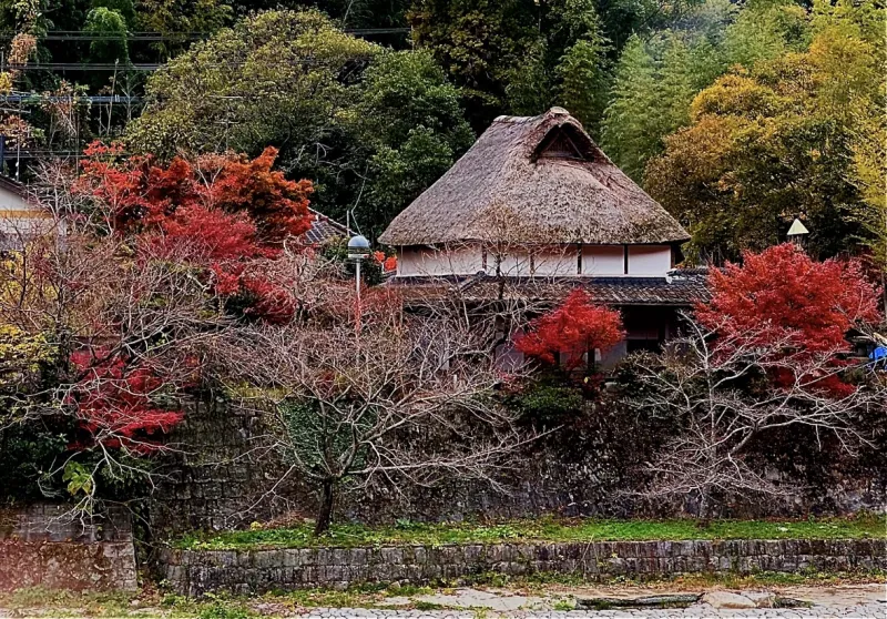 洋々庵 個室サウナ 水風呂あり 2